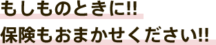 もしものときに!! 保険もおまかせください!!